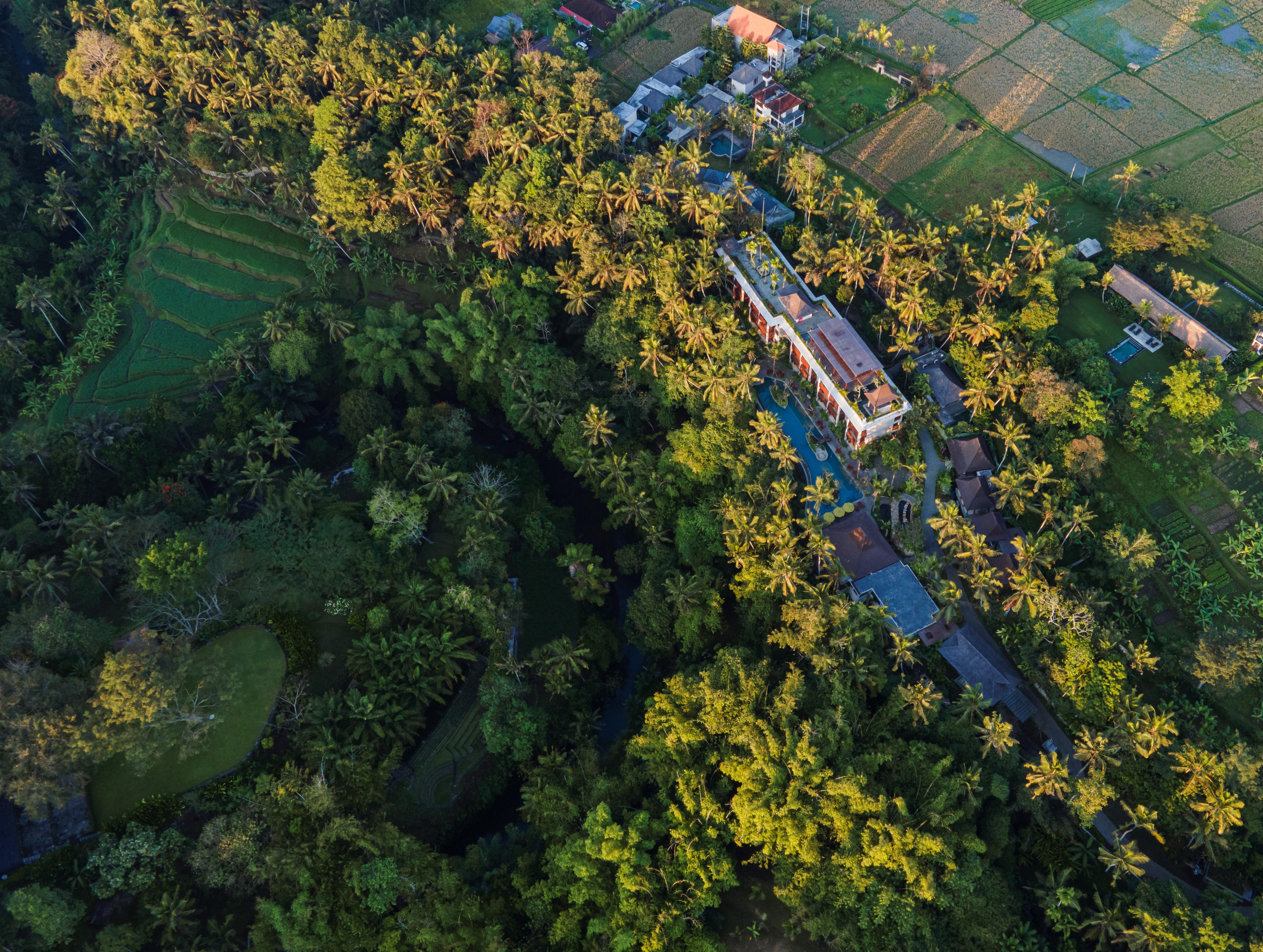 Arkamara Dijiwa Ubud Eksteriør bilde